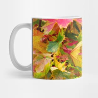 colorful autumn leaves on a tree, leaf, trees Mug